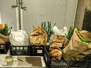 spesa a domicilio verdure di stagione dell'azienda agricola Zanarini