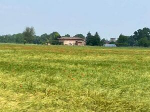 Vendita diretta nell'azienda agricola Bio Orto Zanarini a Bologna