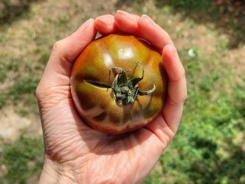 Scopri di più sull'articolo Vendita straordinaria in azienda!